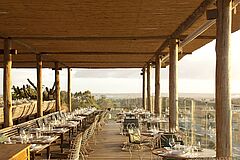 Dining Outside Fasano Las Piedras