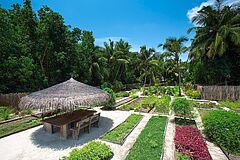 Organic Garden Gili Lankanfushi 