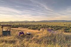 Landschaft &Beyond Grumeti Serengeti Tented Camp