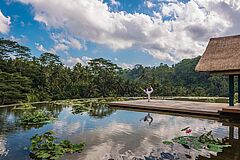 Traumhafter Lotus Pond - Four Seasons Bali at Sayan