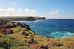 Silver Galapagos Natur