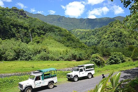 Safari im Jeep Wussten Sie, dass Bora Bora mal Vavau hieß? Bei einem Ausflug im Landrover blicken Sie hinter die Kulissen von Kultur und Geschichte, Flora und Fauna der Insel. Sie besuchen ehemalige Kriegsschauplätze und historische Tempel und kehren um viele spannende Legenden bereichert zurück in Ihr luxuriöses Resort. Bora Bora bietet mehr als nur Strand und Lagune!