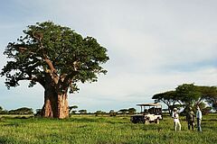 Aktivität Singita Pamushana Lodge Afrika