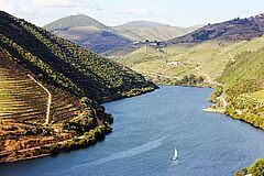 Vogelperspektive Portugal Douro Valley Six Senses Douro Valley