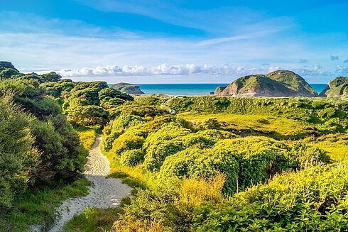 Irland -  Land of Celts and Goblins