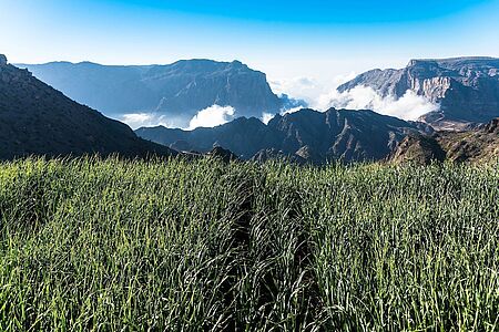 Balcony Walk am Jebel Shams Lust auf Gänsehautmomente, während Sie durch unberührte, faszinierende Natur wandern? Der Jebel Shams ist mit knapp 3.000 Metern der höchste Berg des Al Hajar Gebirges und bietet mit seinem Balcony Walk einen echten Geheimtipp. Vom Pfad direkt am Abgrund lässt der Canyon tief blicken.