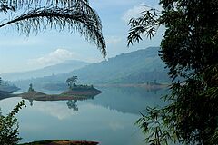 Lake Ceylon Tea Trails
