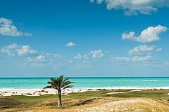 Beach Abu Dhabi The St. Regis Saadiyat Island Resort