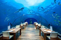Ithaa Under Sea Restaurant Conrad Maldives