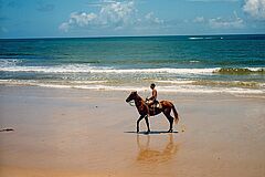 Horse Uxua Casa Hotel