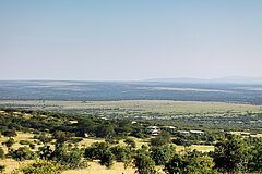Landschaft Mara Bushtops