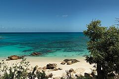 Strand Lizard Island