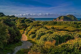 Irland    Irland