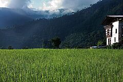 Natur COMO Uma Punakha