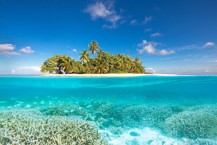 Private Insel W Maldives