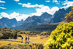 Landschaft Fiordland Lodge