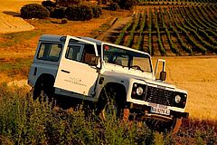 Spanien Sardón de Duero Abadía Retuerta LeDomaine Jeeptour