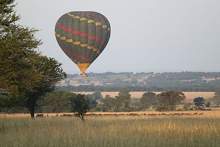 Heißluftballonfahrt zum Sonnenaufgang Früh raus aus den Federn lohnt sich! Wenn die Welt langsam erwacht, schweben Sie bereits über den Baumwipfeln uralter Affenbrotbäume und erleben den unvergesslichen Augenblick, wenn die Sonne ihre ersten Strahlen auf Elefantenherden, Antilopen, Zebras und Löwen wirft. Eine Stunde voller Magie. Im Anschluss erwartet Sie ein rustikales Busch-Frühstück.