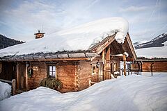 Chalet Winter Puradies