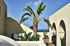 Palmtree Sikelia Luxury Retreat