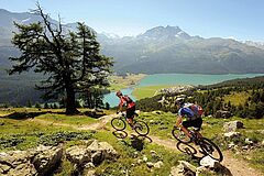 Schweiz Engadin NIRA Alpina Radfahrer