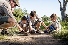 Aktivität Singita Boulders Afrika