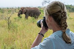 Elefant Watching Magashi Camp