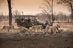 Lion &Beyond Matetsi River Lodge