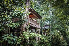 Rainforest Villa The Datai Langkawi
