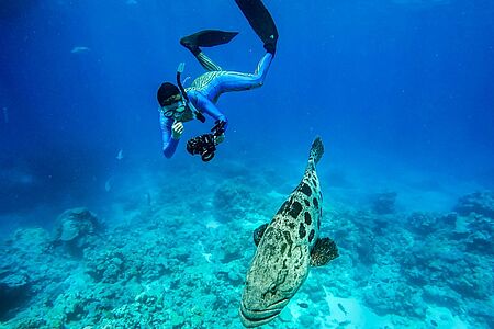 Tauchen im Great Barrier Reef Erleben Sie die unsagbare Schönheit des Great Barrier Reefs am Inner- sowie am Outer Reef. Selbstverständlich können Sie auch einen Tauchkurs machen und Ausflüge mit Ihrem privaten Tauchlehrer unternehmen. Aber auch für Schnorchler lohnt sich der Ausflug – denn auch kurz unterhalb der Wasseroberfläche erwartet Sie eine farbenfrohe Welt.