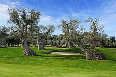 Golf Rocco Forte Masseria Torre Maizza