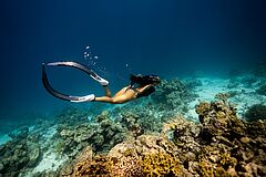 Schwimmen Raffles Maldives Meradhoo