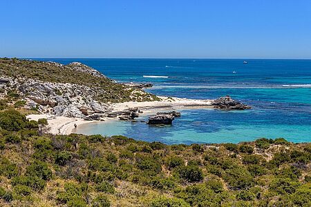 Fullday Rottnest Tour Erleben Sie die Highlights eines preisgekrönten Naturreservats, das zudem von großer spiritueller Bedeutung ist: Traumstrände, wunderschöne Buchten, seltene Pflanzen und unzählige Tiere wie die niedlichen Kurzschwanzkängurus (Quokkas), Pelzrobben, Fischadler, Schildkröten, Delfine und Wale sowie die historischen Cottages aus der Kolonialzeit.