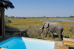 Pool Vumbura Plains Camp