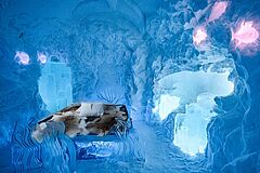 Suite ICEHOTEL