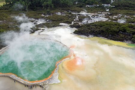 Tagesausflug nach Rotorua Himmelhohe Geysire und blubbernde Schlammlöcher - Rotorua ist ein geothermisches Wunderland und lädt zum Baden in heißen Quellen ein. Lernen Sie hier auch die Traditionen der gastfreundlichen Maori-Bevölkerung kennen, etwa bei einer Hangi-Mahlzeit aus dem dampfenden Erdofen oder einer Tour durch ein authentisches, voreuropäisches Maori-Dorf.