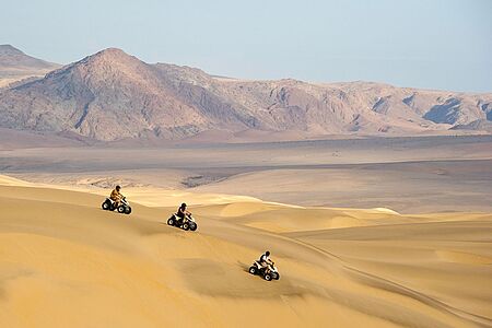 Quad Bike Fahrt durch die Wüste Lust auf Abenteuer, Adrenalin und Geschwindigkeit? Dann düsen Sie auf einem geländegängigen Quadbike durch die legendäre Wüste, überqueren die goldenen Sanddünen und erfahren viel über die einheimische Flora und Fauna. Ein erfahrener Guide bringt Sie zu einzigartigen Schauplätzen und weiht Sie in die Geheimnisse der Wüste ein.