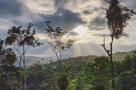 Die ORIGINS Luxury Lodge im Norden von Costa Rica ist ein Urlaubsparadies im Einklang mit der wunderschönen Natur. An einem sanften Berghang im Dschungel gelegen, verspricht Ihnen dieses atemberaubende Luxusanwesen weite Blicke hinab ins Tal, auf unzählige Baumkronen, saftiges Grün, wilde Tiere, verlockendes Wasser und vieles mehr. 