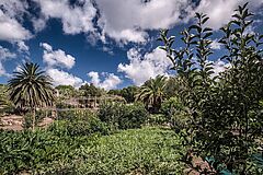 Vegetable Garden Villa Del Golfo