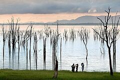 Lake Shore Walking Safari