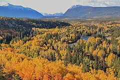 Autumn The Chilko Experience Wilderness Resort