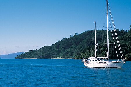 Im Segelboot zu den Cavalli Inseln Auf einem 15m langen Segelkutter geht es zu den unbewohnten subtropischen Cavalli Inseln. Mit etwas Glück entdecken Sie Delphine, Zwergpinguine, Sturmtaucher, Basstölpel, Seeschwalben und weitere Tiere. An Bord erwarten Sie ein Gourmetmittagessen und Zeit zum Träumen. Jenseits können Sie schnorcheln oder am Strand entlang spazieren.