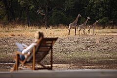 Giraffen Chinzombo Lodge