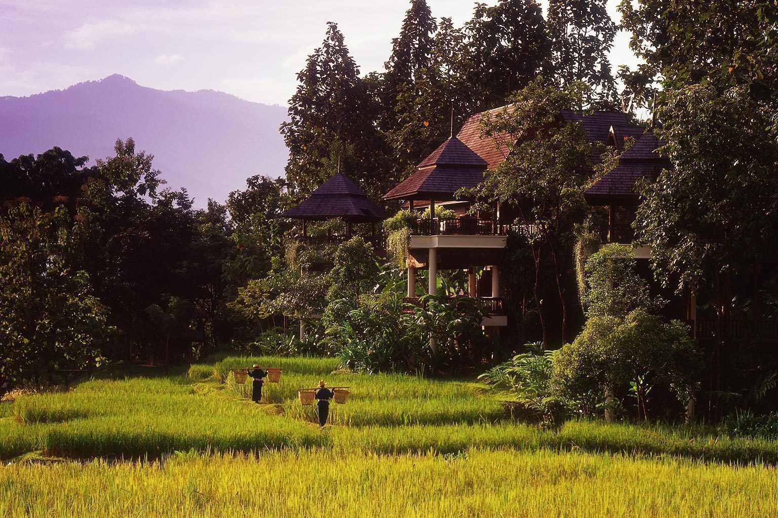 Resort Four Seasons Resort Chiang Mai