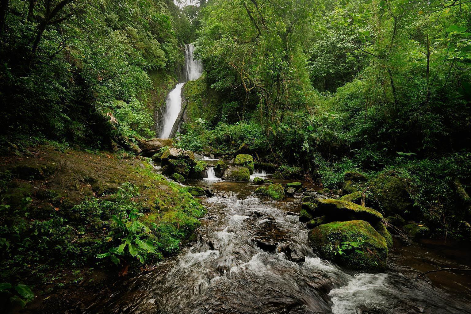 Costa Rica Silencio Lodge & Spa