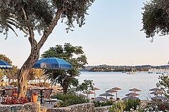Dream Villa Waterfront - Gelateria Gelateria - Dream Villa Waterfront