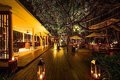 The Sarojin Ficus Wine Bar Ficus Wine Bar The Sarojin