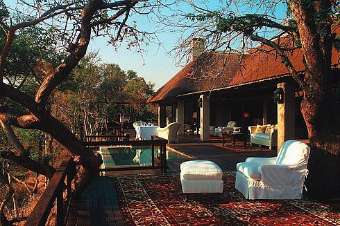 Krüger Nationalpark -  Royal Malewane