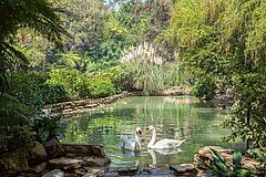 Hotel Bel-Air Swan Lake Swan Lake Hotel Bel-Air
