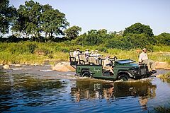 Singita Ebony Afrika Aktivitäten Aktivitäten Singita Ebony Afrika